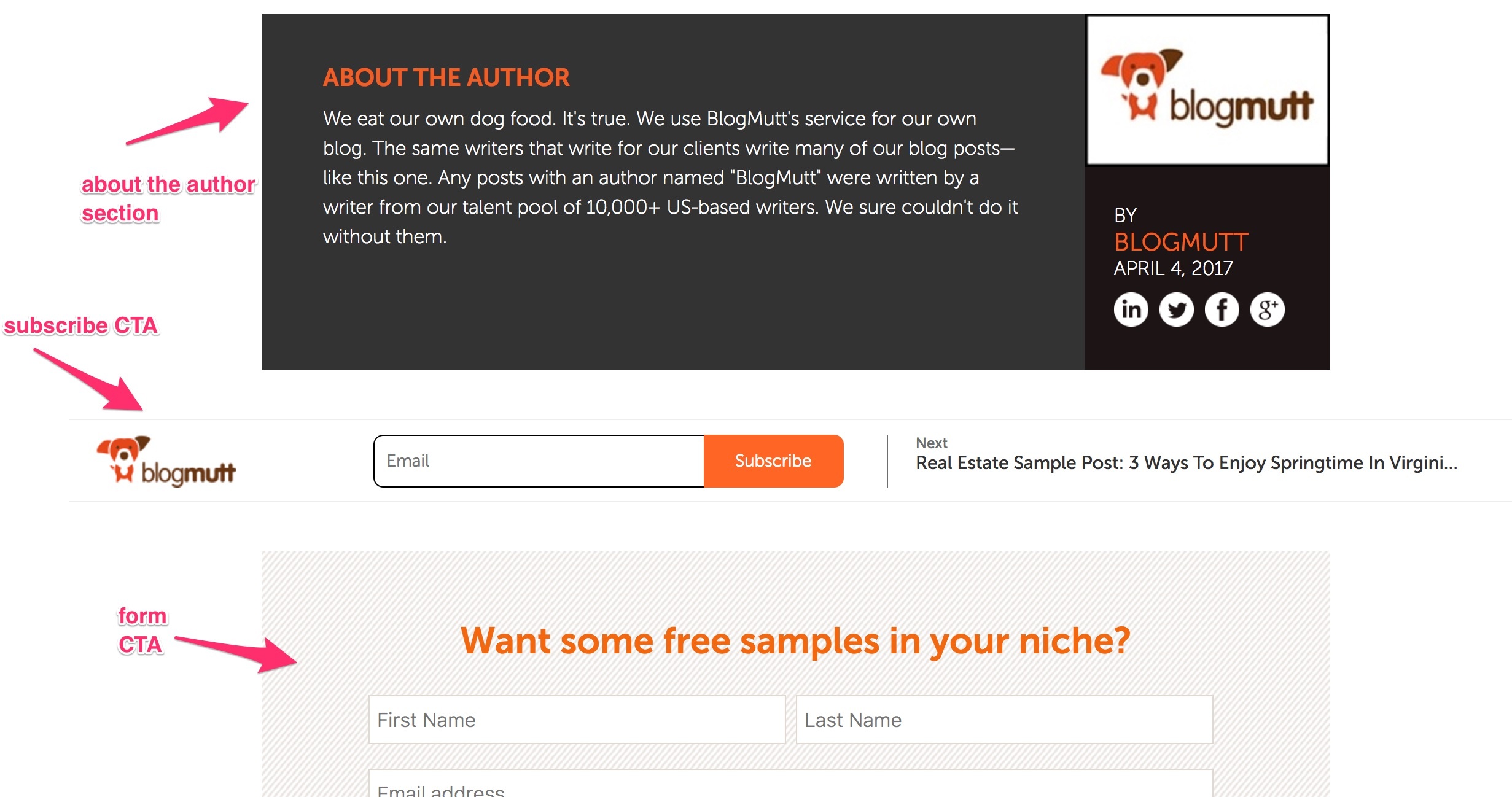 The footer section of a blog post with callouts to key information - about the author, subscribe CTA, form call to action The footer section of a blog post with callouts to key information - about the author, subscribe CTA, form call to action