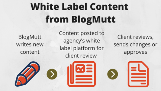 steps-of-White-Label-Content-Writing-from-blogmutt steps-of-White-Label-Content-Writing-from-blogmutt